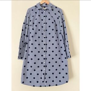 Boden Blue and White Polka Dot Long Sleeve Dress